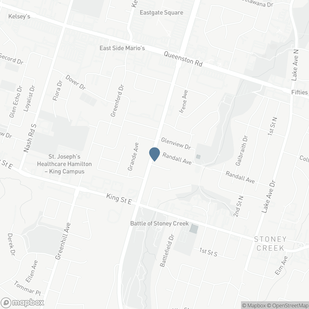 77 RANDALL AVENUE, Hamilton, Ontario L8G 2K8